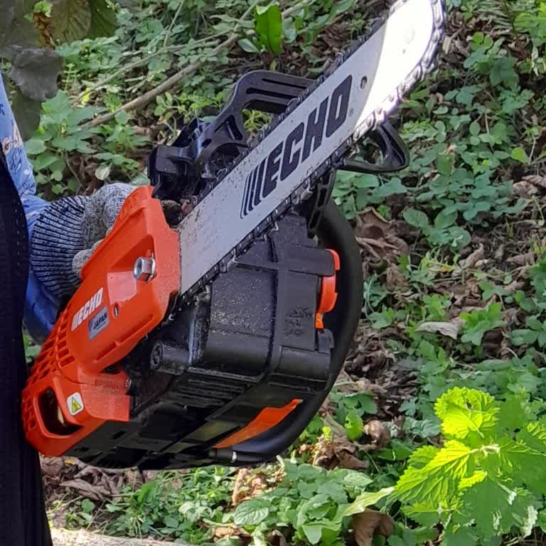 Echo Motorunun Sürekli Arızası Ve Yenisi Talebi