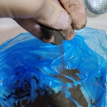 Çaykur Tiryaki Çayında Toz Oranı Yüksek, Kalite Sorunu