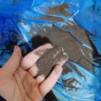 Çaykur Tiryaki Çayında Toz Oranı Yüksek, Kalite Sorunu