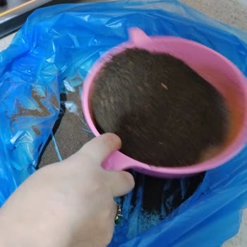 Çaykur Tiryaki Çayında Toz Oranı Yüksek, Kalite Sorunu