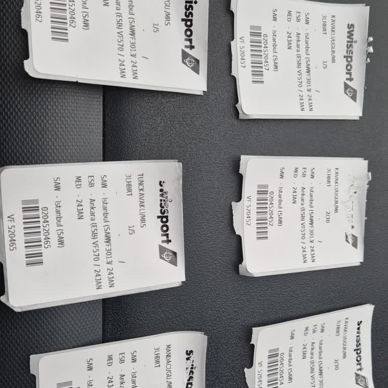 A Jet Uçuşunda Kaybolan Bagajlar İçin Acil Açıklama Ve Çözüm Talebi