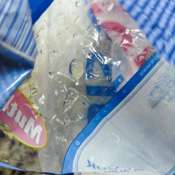 Carrefour’da Satın Alınan Makarna İçinde Böcek Bulunduğu İçin Ücret İadesi Talebi