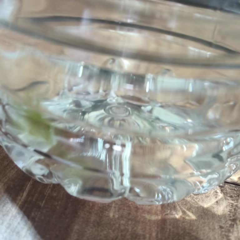 Fuska Pet Şişe Suda Yosun Görüldü, Sağlık Endişesi!