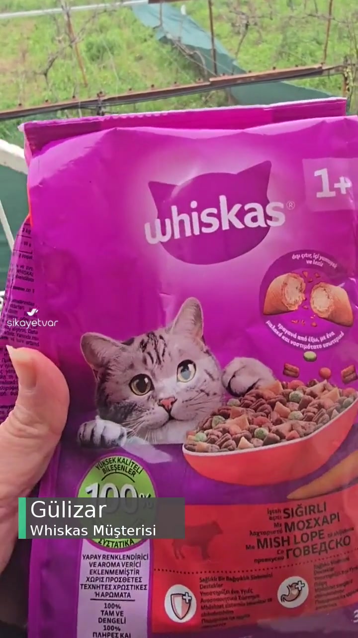 Whiskas Kedi Maması Çok Az Geldi! videonun kapak resmi