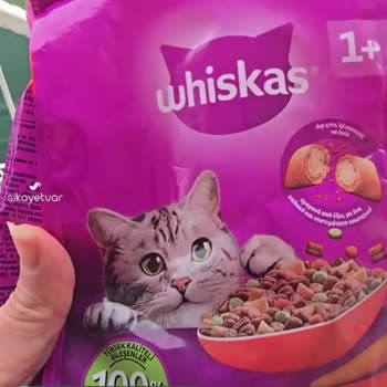 Whiskas Kedi Maması Çok Az Geldi!