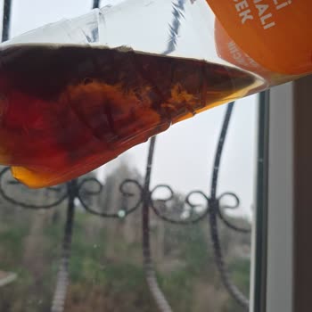 Lipton İce Tea Lipton İce Tea Yosunumsu Beyaz Cisim Keşfedildi