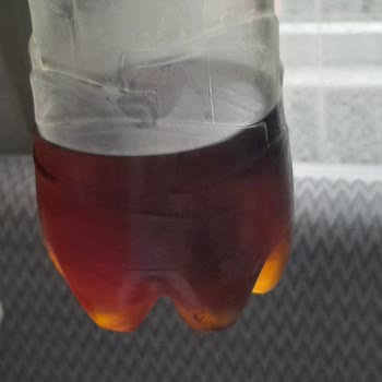 Lipton İce Tea Lipton İce Tea Yosunumsu Beyaz Cisim Keşfedildi