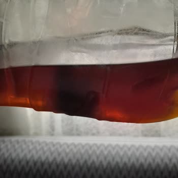 Lipton İce Tea Lipton İce Tea Yosunumsu Beyaz Cisim Keşfedildi