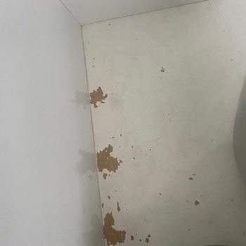 Meşe Dekor Mutfak Dolapları Yapımında Ciddi Şekilde Mağdur Etti