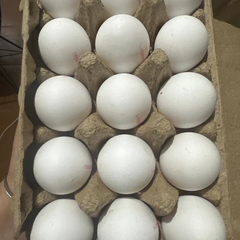 A101 Markette Ayıplı Yoğurt Değişimi Reddedildi Ve Kamera Kayıtları Gösterilmedi