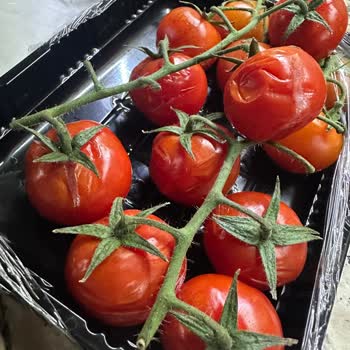 Tazedirekt Şubesinde Bozuk Ve Küflü Domatesler Güvenimizi Sarsıyor