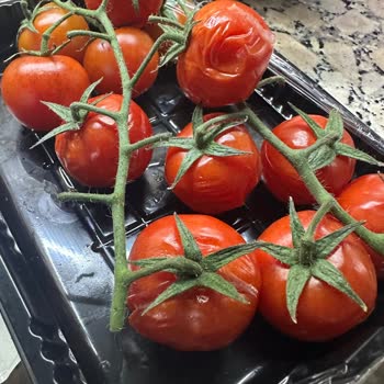 Tazedirekt Şubesinde Bozuk Ve Küflü Domatesler Güvenimizi Sarsıyor