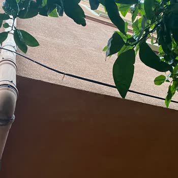 TurkNet İzinsiz Dış Cephe Delmesi Ve Kablo Çekimiyle Binamıza Zarar Verdi