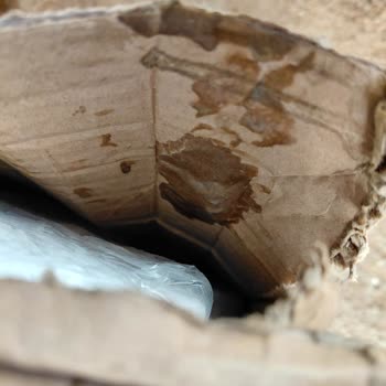 DHL Kargom Hasarlı Bırakıldı Ve Teslimat Yanlış Bildirildi