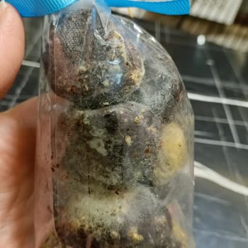 Kahve Dünyası'nda Küflü Ürün Ve Yanlış Son Kullanma Tarihi Nedeniyle İade Reddi