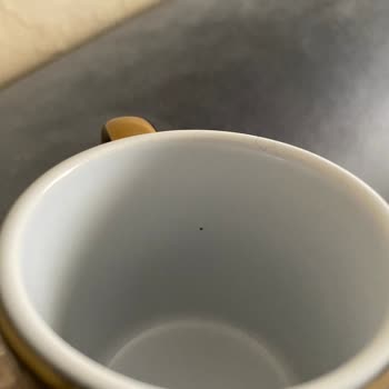 Kusurlu Fincanlar Kısmi Değişim Talebim Reddedildi