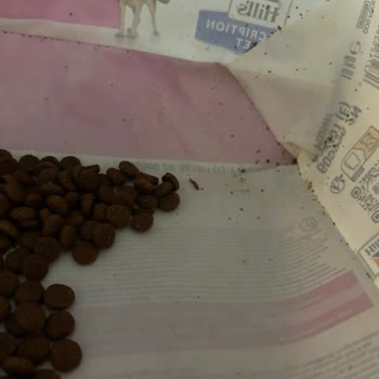 Hill's Pet Mamada Küf Sorunu