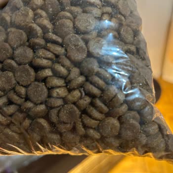 Hill's Pet Mamada Küf Sorunu