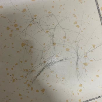 Grundig Saç Düzleştiricisi İlk Kullanımda Saçlarım Koparttı!