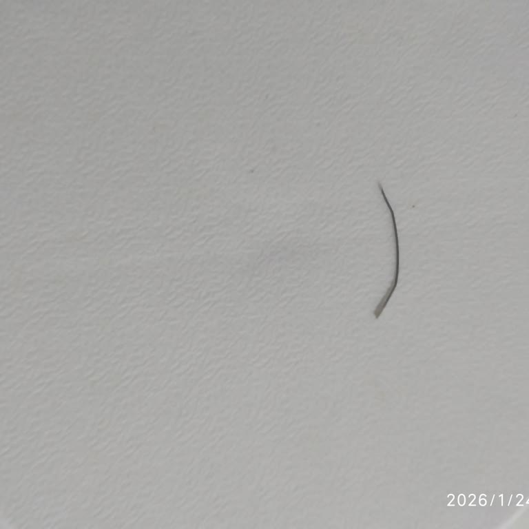 Ekmekte Tel Bulunması Aile Sağlığını Tehdit Etti