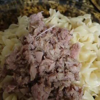 Ton Balığında Büyük Kılçık: Sağlık Riski Ve Üretim Kontrol İhlali