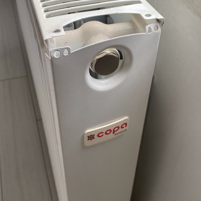 Copa Innova Peteğin Sağ Kapak Eksikliği Ve Yedek Parça Talebi