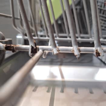 Franke Bulaşık Makinesinde Sepet Paslanması Ve Gizli Ayıp