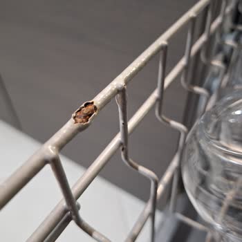 Franke Bulaşık Makinesinde Sepet Paslanması Ve Gizli Ayıp