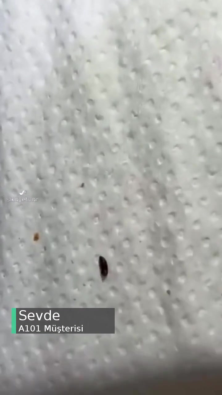 A101 Thraki Çekirdekten Çıkan Madde! videonun kapak resmi