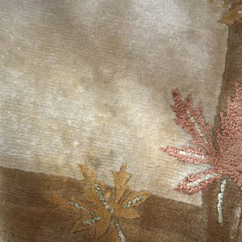 Koltuk Ve Halı Yıkama Sırasında Kirletme Ve Sağlık Tehlikesi, Firmadan Çözüm Yok