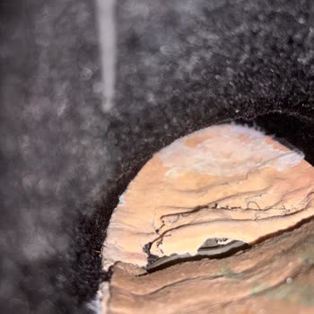 Üç Gün Kullanılan Botun Alt Tabanı Kırıldı Ve Su Aldı: Üretim Hatası İddiası