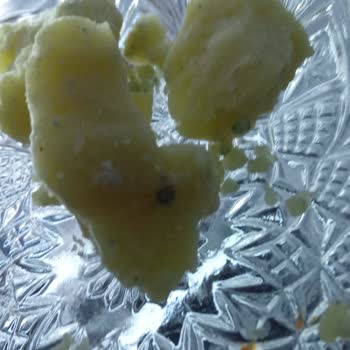 Garanti Kapsamındaki Vestel Buzdolabının Soğutmama Sorunu Ve Değişim Talebi