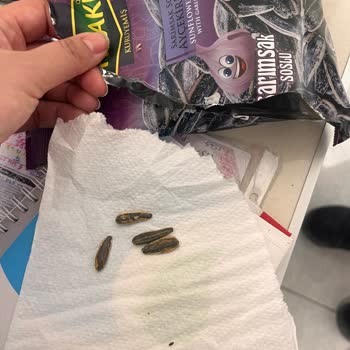 A101 Çekirdek Paketi İçinde Böcek Tespiti Sağlık Ve Hijyen Endişesi