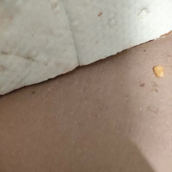 Pişmemiş, Soğuk Ve Eksik Pizza, İade Talebim Reddedildi