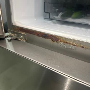 Vestel Buzdolabındaki Tekrarlayan Paslanma Sorunu Ve Değişim Talebi