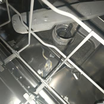 Yeni Bulaşık Makinesinde İlk 4 Yıkamada Pas Çıktı Ve Mutfak Eşyalarım Zarar Gördü