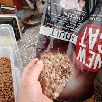 Lider Pet Food New Cat Mamada Küf Sorunu