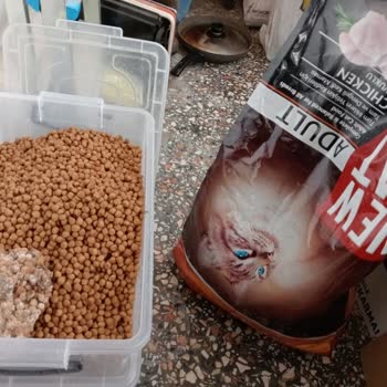 Lider Pet Food New Cat Mamada Küf Sorunu