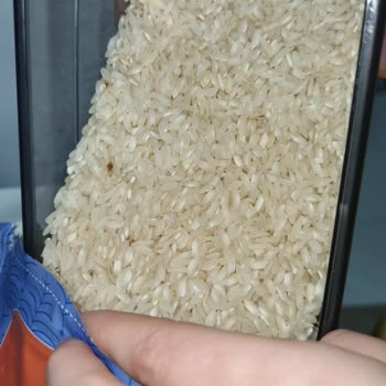 Hasata Markalı Pirinçte Kötü Koku Ve Çürük Taneler!