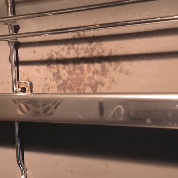 Siemens Ankastre Fırının Kendi Kendini Temizleme Modunda Kalıcı Lekeler Ve Ayıplı Ürün Şikayeti