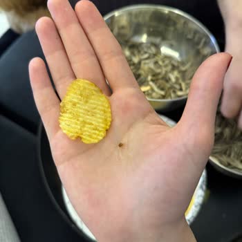 Ruffles Cips Paketi İçinden Çıkan Tüylü Yabancı Maddeye Dair Açıklama Talebi