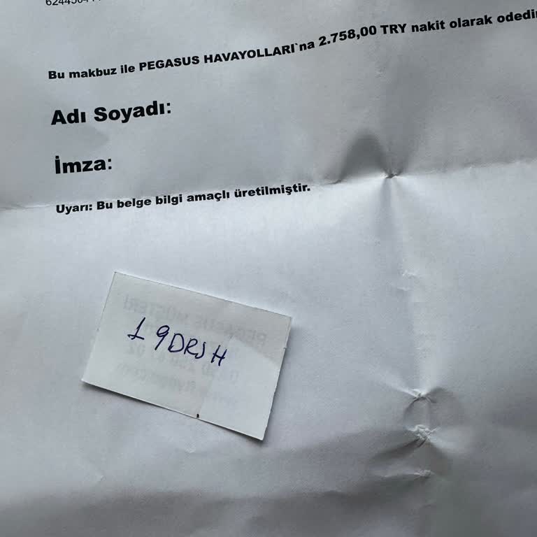 Pegasus'tan Fazla Bagaj Ücreti İadesi Üç Ay Boyunca Gecikiyor