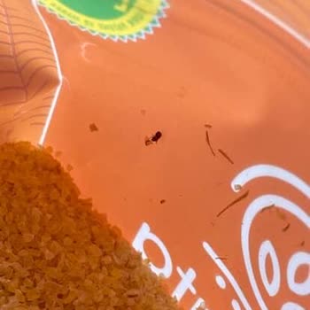 Hasata’nın Köftelik Bulgur Ürününün İçinde Böcek Bulunması Ve İletişimsizlik