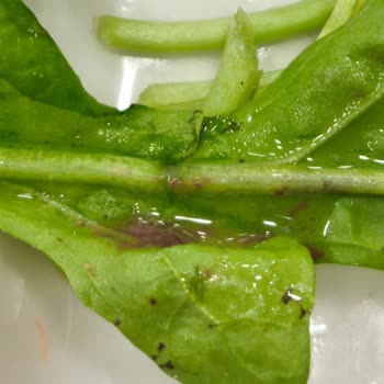 Şöhret Et Lokantası Hijyenden Eser Yok