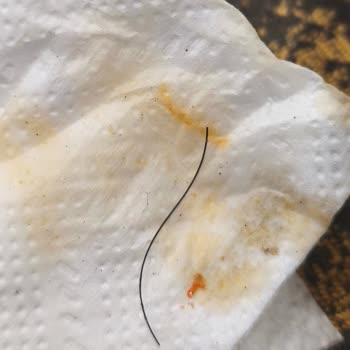 Şöhret Et Lokantası Hijyenden Eser Yok