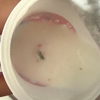 Eker Ayranlarında Katılaşma Ve Küflenme