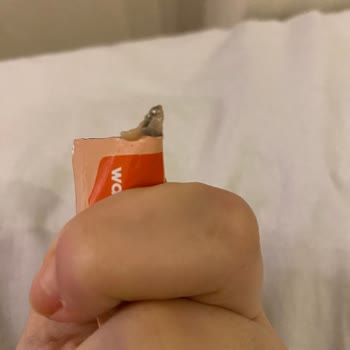 Wanpy Pet Food Ödül Mamasının İçinden Siyah, Plastik Benzeri Bir Yabancı Madde Çıktı