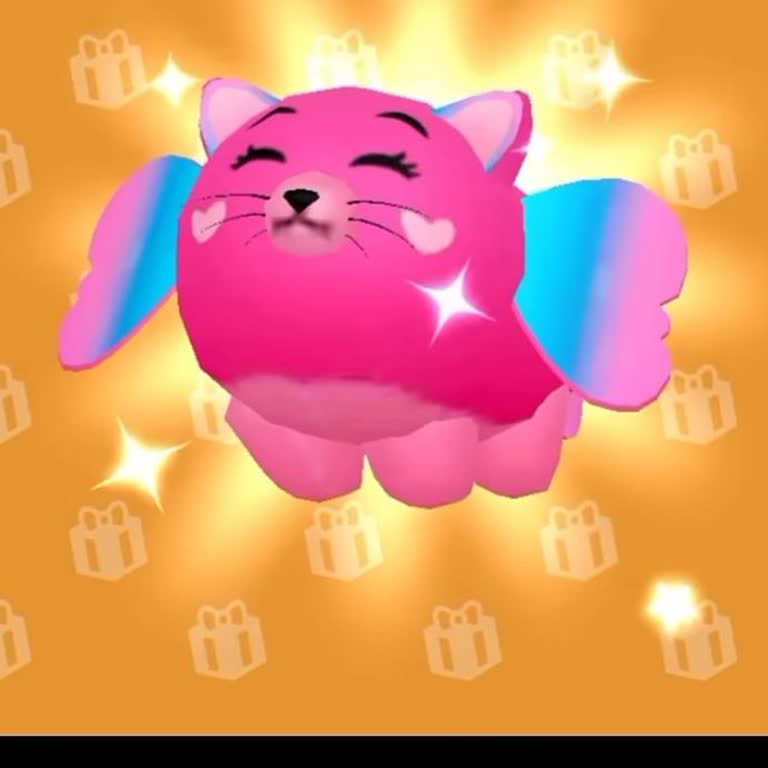 Takasla Edilen 5 Petin Kaybolması Ve Geri Dönüş İsteği