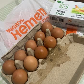 Kırık Yumurta Teslimatı Ve Çözüm Bulunamaması