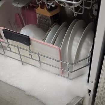 Ayıplı Kapaklı Bulaşık Makinesi, Köpürme Ve Yetersiz Servis